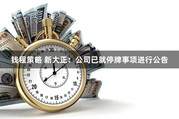 钱程策略 新大正：公司已就停牌事项进行公告