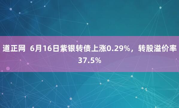 道正网  6月16日紫银转债上涨0.29%，转股溢价率37.5%